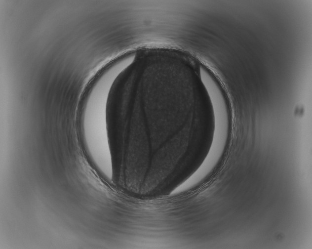 X0000113940391200911061246