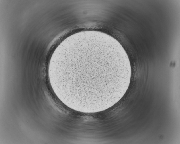 X0000113940392200911061246