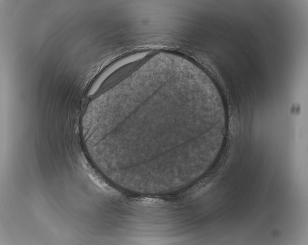 X0000113940393200911061246