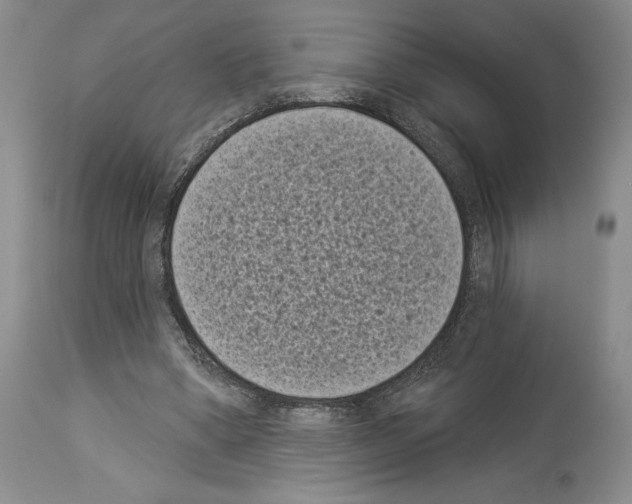 X0000113940394200911061246