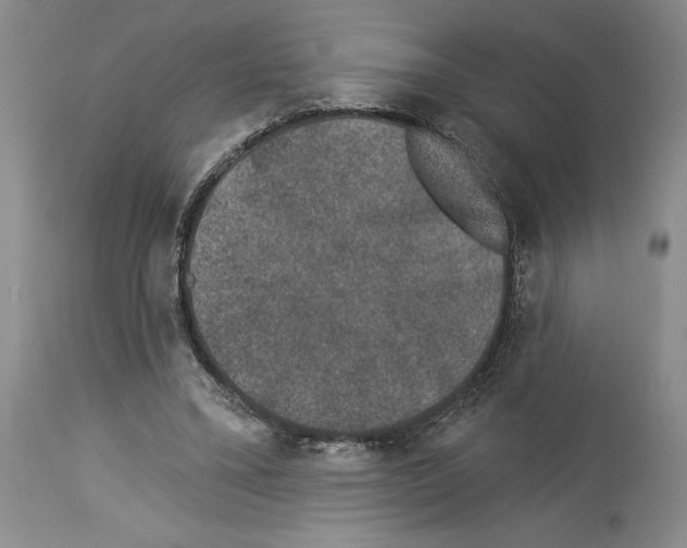 X0000113940395200911061246