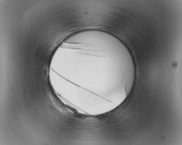 X0000113940397200911061246