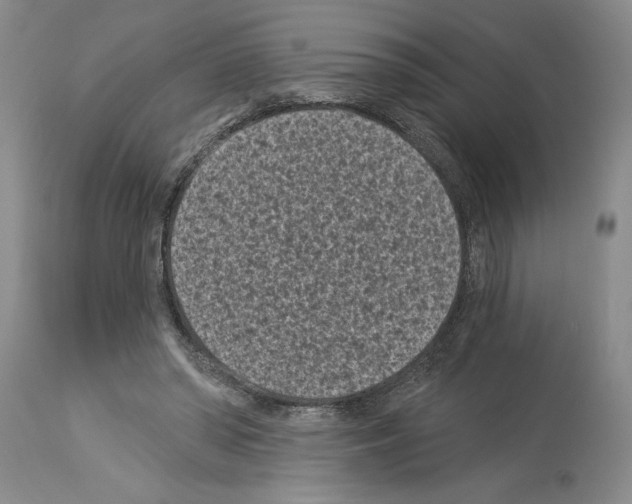 X0000113940398200911061246
