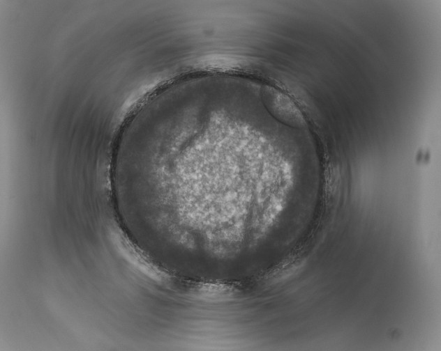 X0000113940399200911061246