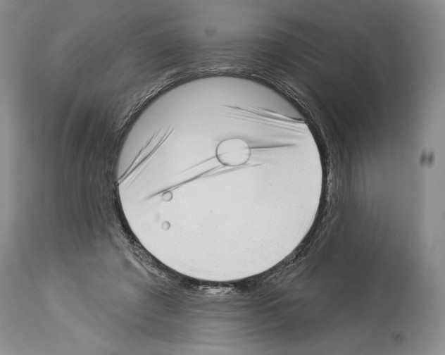 X0000113940401200911061246