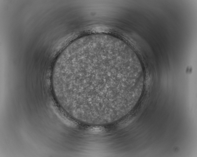 X0000113940402200911061246