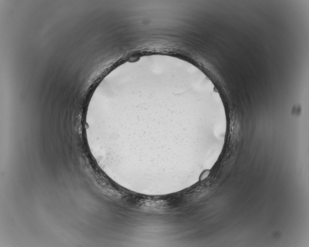 X0000113940403200911061246
