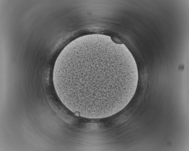 X0000113940404200911061246