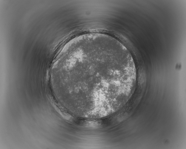 X0000113940405200911061246
