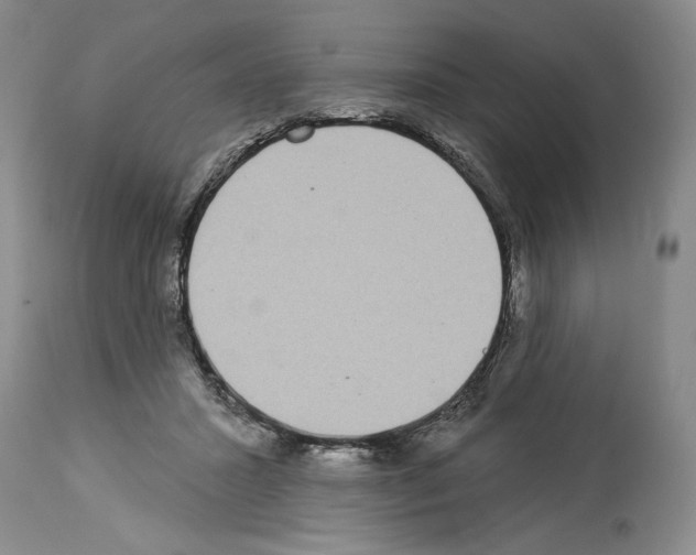 X0000113940407200911061246
