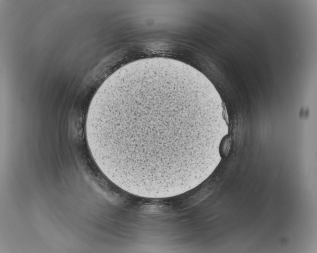 X0000113940408200911061246