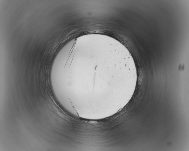 X0000113940409200911061246