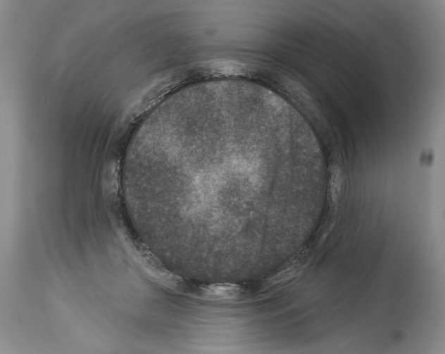 X0000113940410200911061246