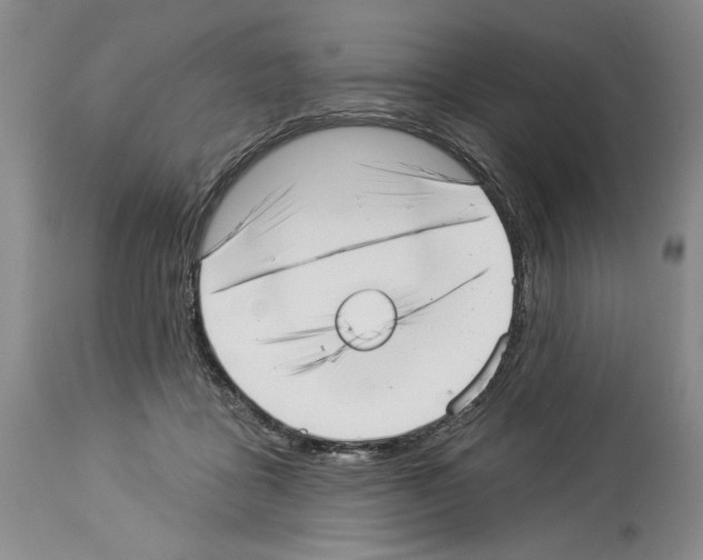 X0000113940411200911061246