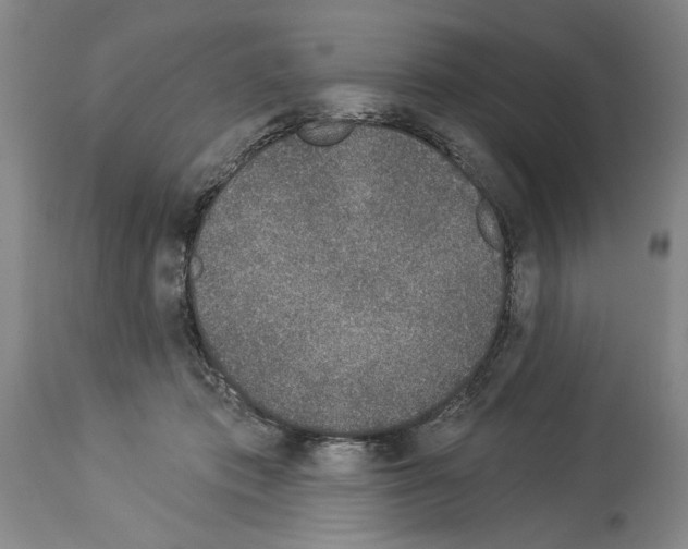 X0000113940413200911061246
