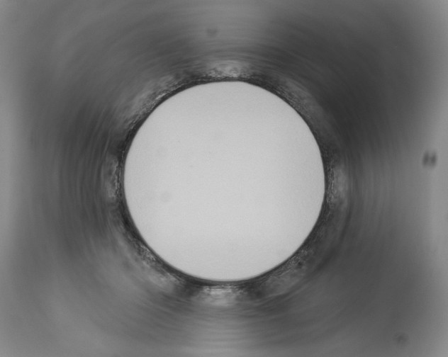 X0000113940414200911061246