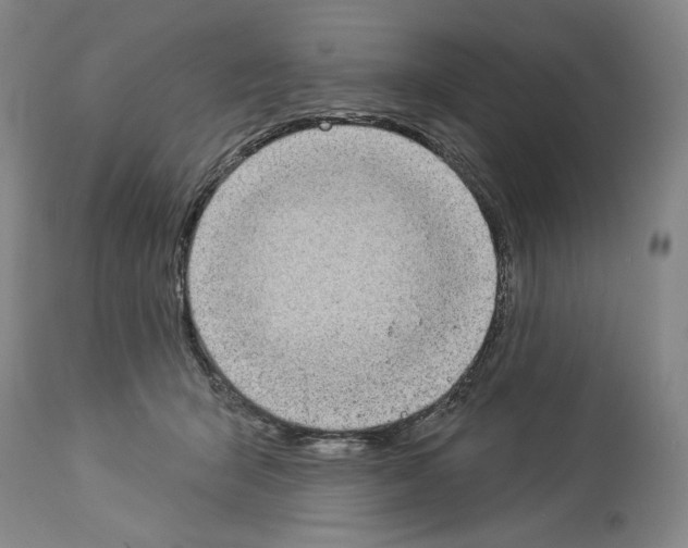 X0000113940415200911061246
