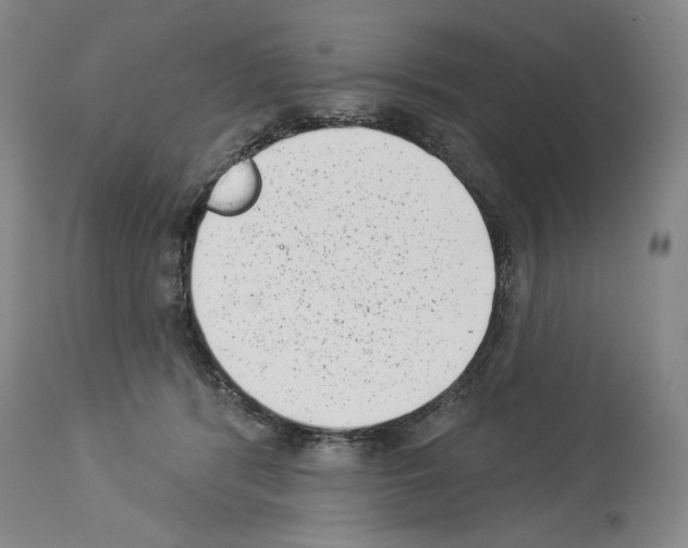 X0000113940416200911061246