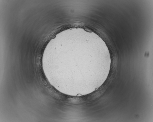 X0000113940417200911061246