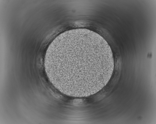 X0000113940418200911061246