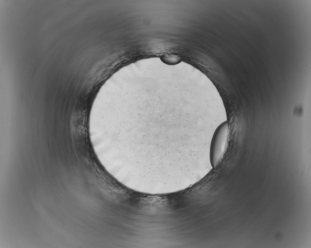 X0000113940421200911061246