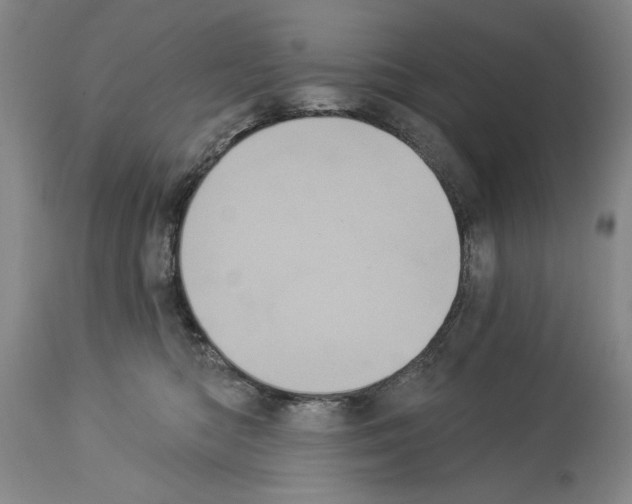 X0000113940422200911061246