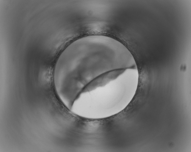 X0000113940423200911061246
