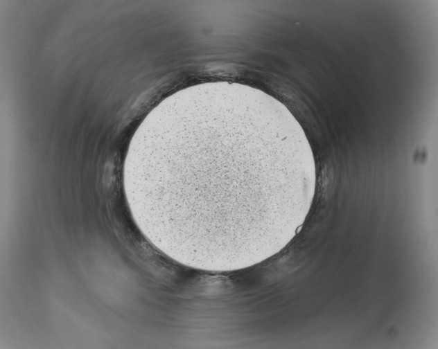 X0000113940424200911061246