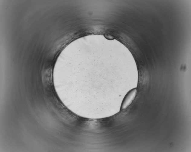 X0000113940425200911061246