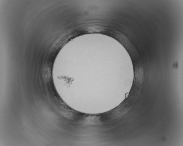 X0000113940426200911061246