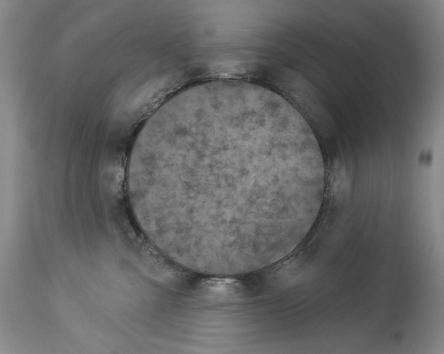 X0000113940427200911061246