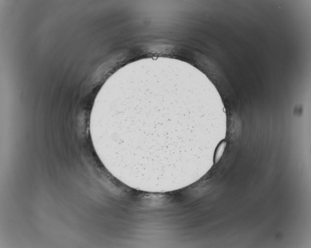 X0000113940428200911061246