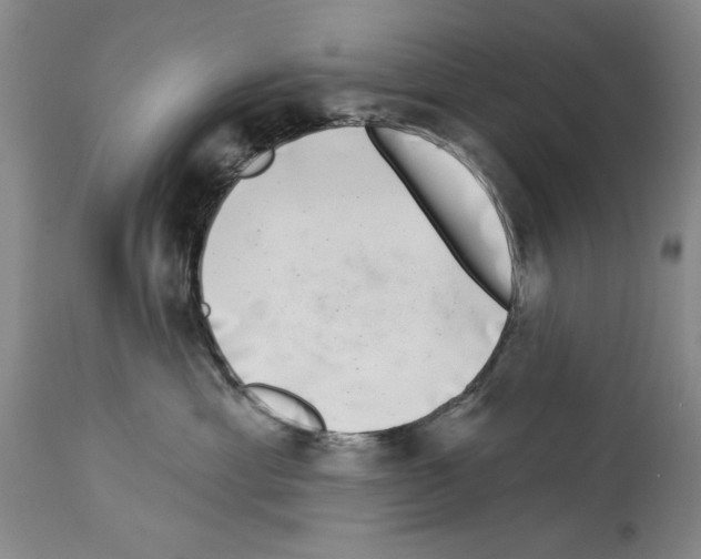 X0000113940429200911061245