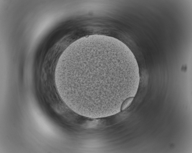X0000113940430200911061245
