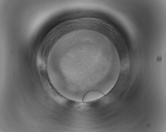 X0000113940431200911061245