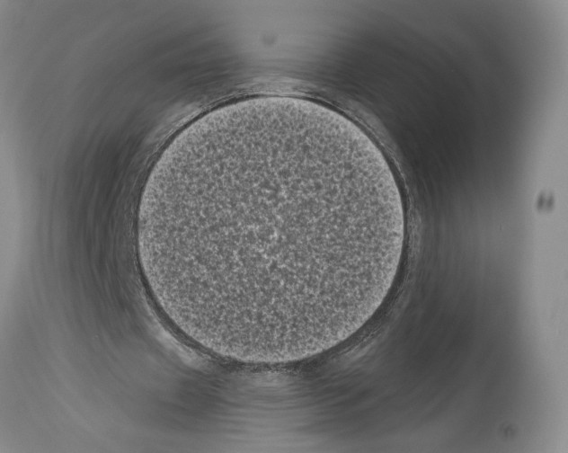X0000113940433200911061245