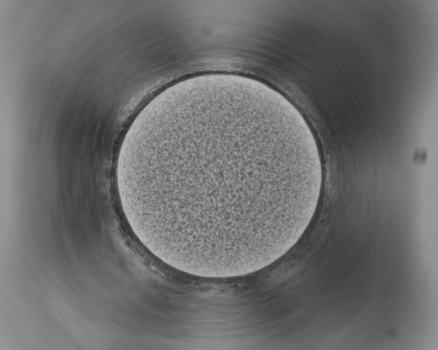 X0000113940434200911061245