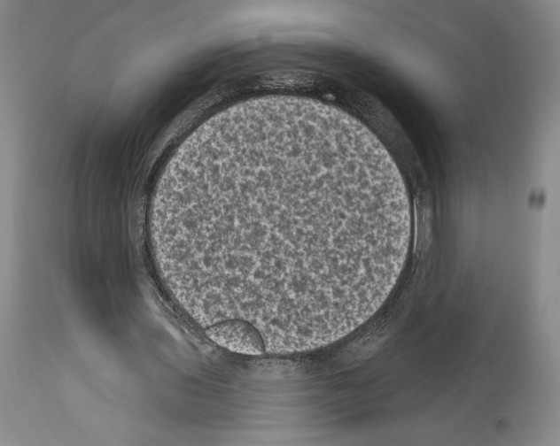 X0000113940435200911061245