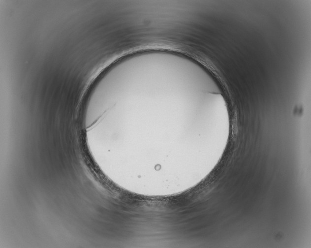 X0000113940436200911061245