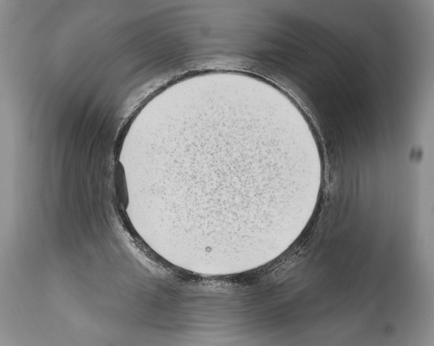 X0000113940437200911061245