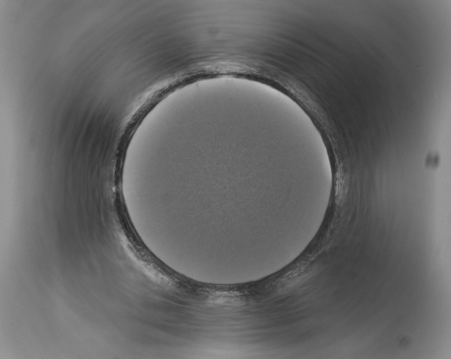 X0000113940438200911061245