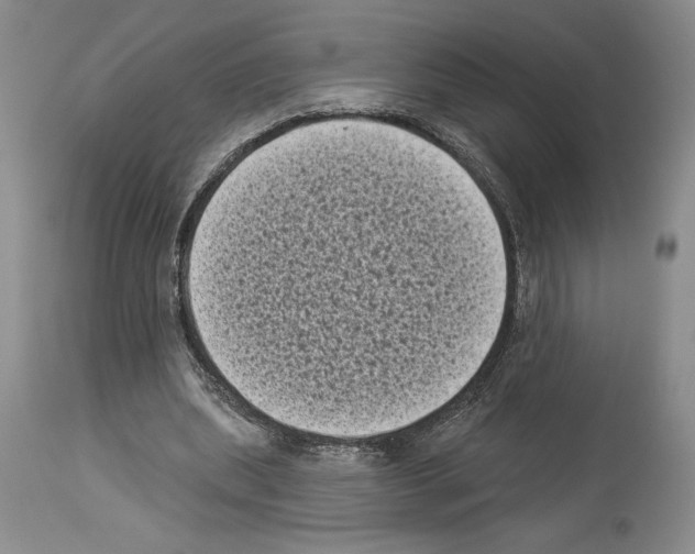 X0000113940439200911061245