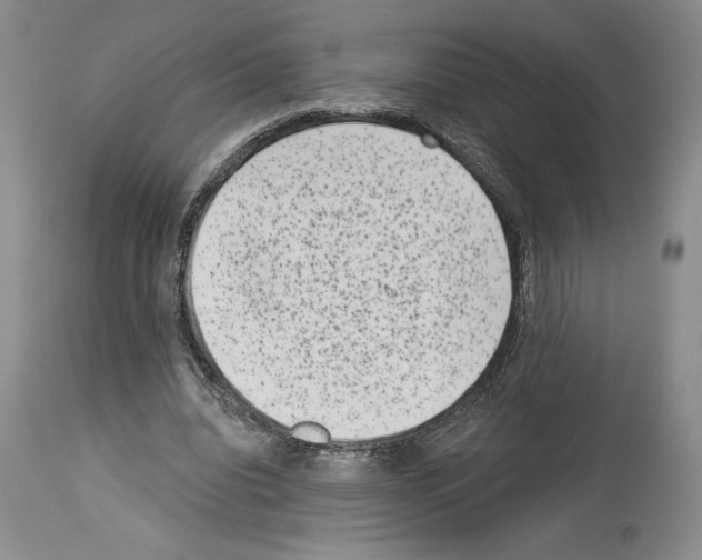 X0000113940440200911061245