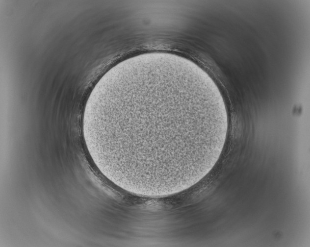 X0000113940441200911061245