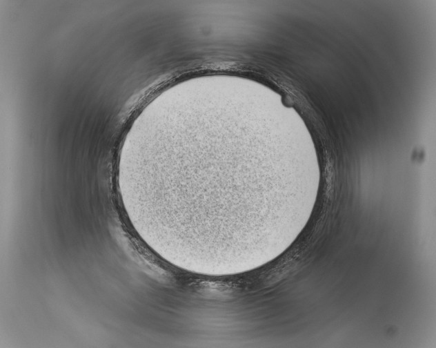 X0000113940442200911061245