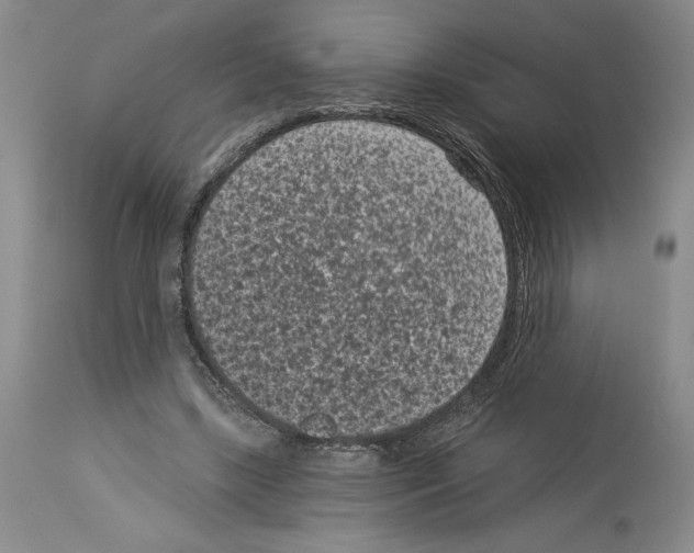 X0000113940443200911061245