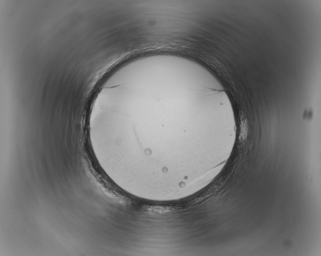 X0000113940444200911061245