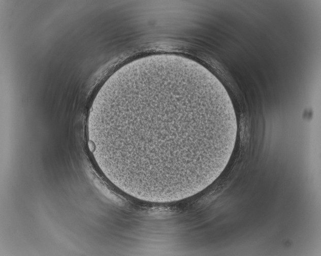 X0000113940445200911061245