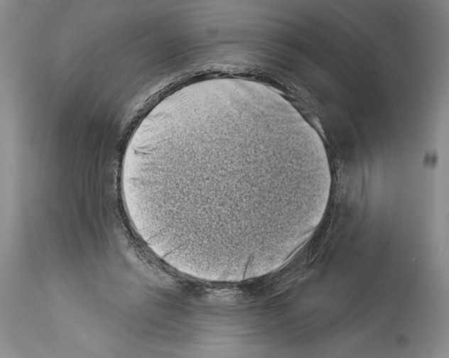 X0000113940446200911061245