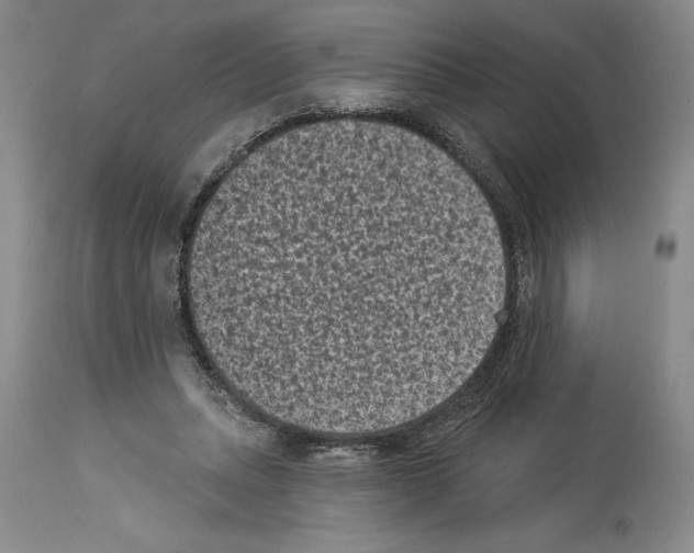 X0000113940447200911061245
